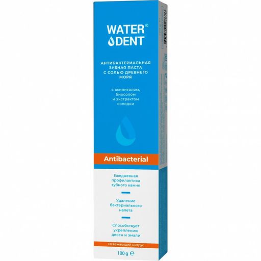 Waterdent Паста зубная антибактериальная, с солью Древнего моря, 100г, 1 шт.